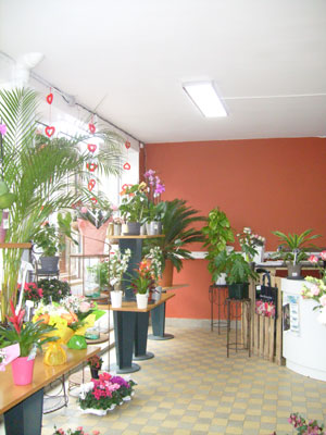 Intérieur du magasin Montjoffre fleurs à Ahun