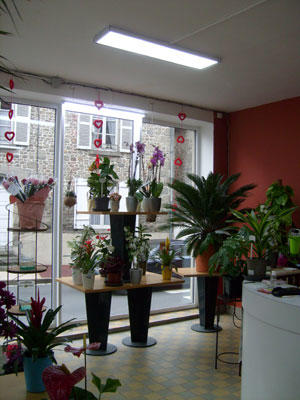 Intérieur du magasin Montjoffre fleurs à Ahun