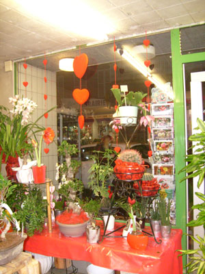 Intérieur du magasin Montjoffre fleurs à Aubusson